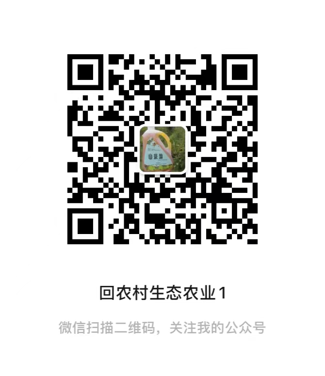 公众号